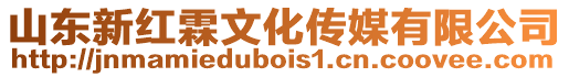 山東新紅霖文化傳媒有限公司