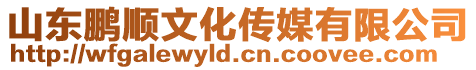 山東鵬順文化傳媒有限公司