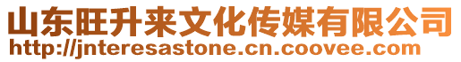 山東旺升來文化傳媒有限公司