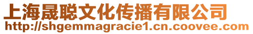 上海晟聰文化傳播有限公司