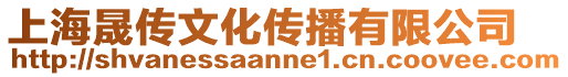 上海晟傳文化傳播有限公司