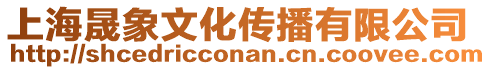 上海晟象文化傳播有限公司