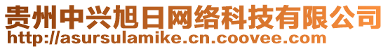 貴州中興旭日網(wǎng)絡(luò)科技有限公司