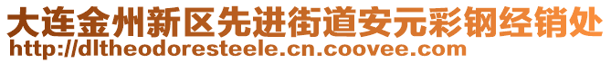 大連金州新區(qū)先進(jìn)街道安元彩鋼經(jīng)銷處