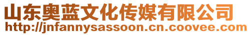 山東奧藍(lán)文化傳媒有限公司