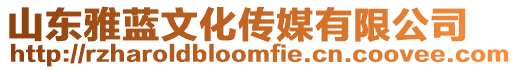 山東雅藍(lán)文化傳媒有限公司