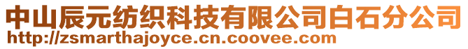 中山辰元紡織科技有限公司白石分公司