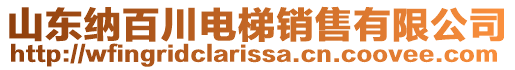 山東納百川電梯銷售有限公司