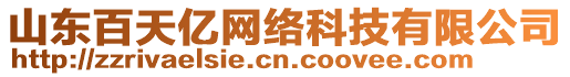 山東百天億網(wǎng)絡(luò)科技有限公司