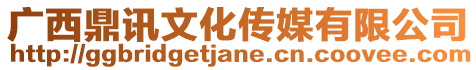 廣西鼎訊文化傳媒有限公司