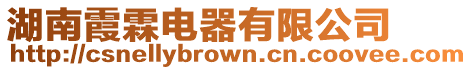 湖南霞霖電器有限公司