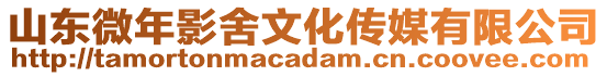 山東微年影舍文化傳媒有限公司