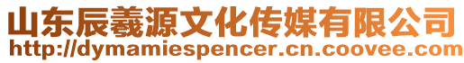 山東辰羲源文化傳媒有限公司