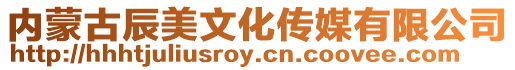 內(nèi)蒙古辰美文化傳媒有限公司