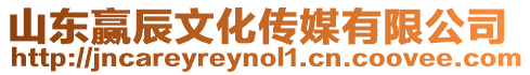 山東贏辰文化傳媒有限公司