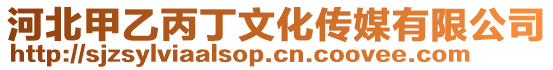 河北甲乙丙丁文化傳媒有限公司