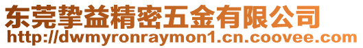 東莞摯益精密五金有限公司