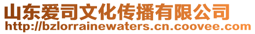 山東愛司文化傳播有限公司