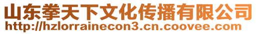 山東拳天下文化傳播有限公司