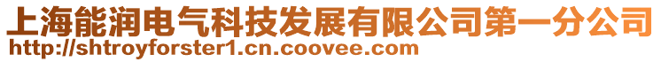 上海能潤電氣科技發展有限公司第一分公司