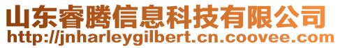 山東睿騰信息科技有限公司