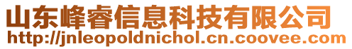 山東峰睿信息科技有限公司