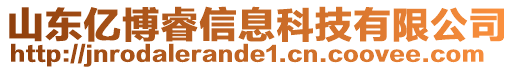 山東億博睿信息科技有限公司