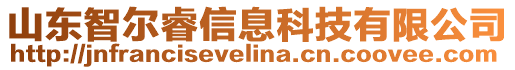 山東智爾睿信息科技有限公司