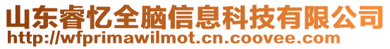 山東睿憶全腦信息科技有限公司