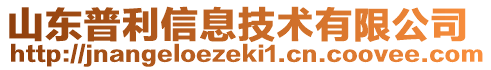 山東普利信息技術有限公司