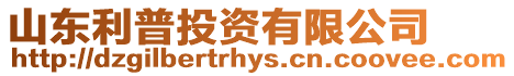 山東利普投資有限公司