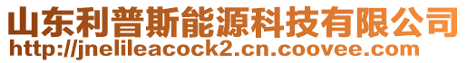 山東利普斯能源科技有限公司