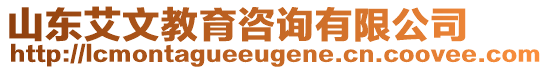 山東艾文教育咨詢有限公司