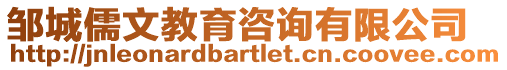 鄒城儒文教育咨詢有限公司