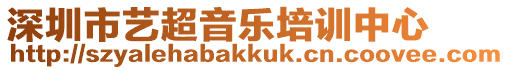 深圳市藝超音樂培訓(xùn)中心