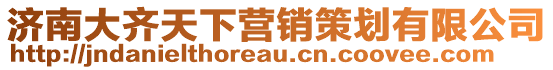 濟(jì)南大齊天下營銷策劃有限公司