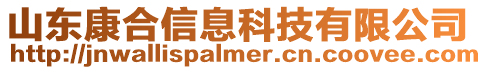 山東康合信息科技有限公司