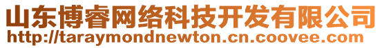 山東博睿網絡科技開發有限公司