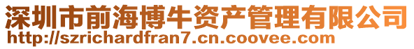 深圳市前海博牛資產管理有限公司