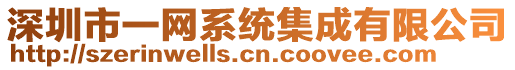 深圳市一網系統(tǒng)集成有限公司