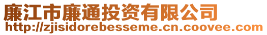 廉江市廉通投資有限公司