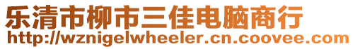 樂清市柳市三佳電腦商行