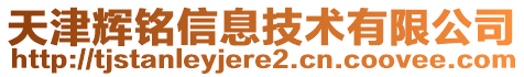 天津輝銘信息技術(shù)有限公司