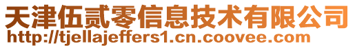 天津伍貳零信息技術(shù)有限公司