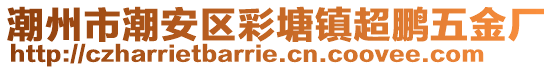 潮州市潮安區(qū)彩塘鎮(zhèn)超鵬五金廠