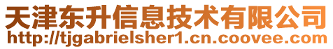 天津東升信息技術(shù)有限公司