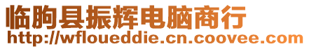 臨朐縣振輝電腦商行