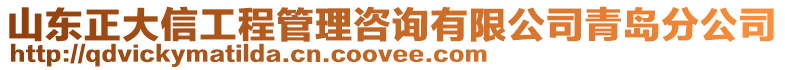 山東正大信工程管理咨詢有限公司青島分公司