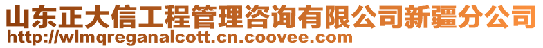 山東正大信工程管理咨詢(xún)有限公司新疆分公司