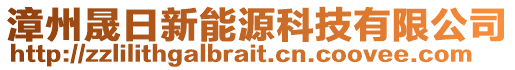 漳州晟日新能源科技有限公司